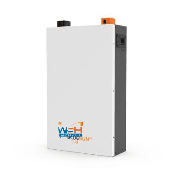 Wall-Mounted 51.2V 100A Lithium-Ion Battery with Advanced BMS