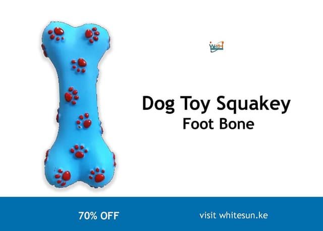 dog-toy-squakey-foot-bone