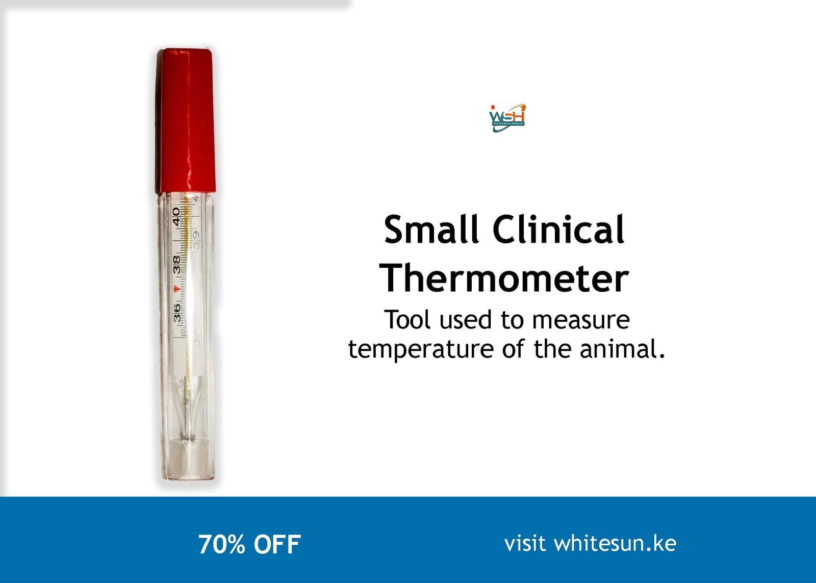 Small Clinical Thermometer Thumbnail 2