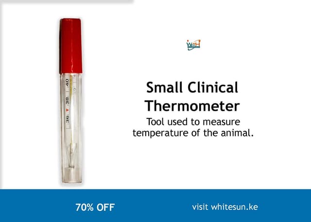 small-clinical-thermometer