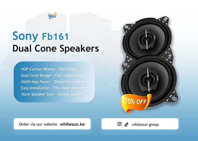 sony-fb161-dual-cone-speakers