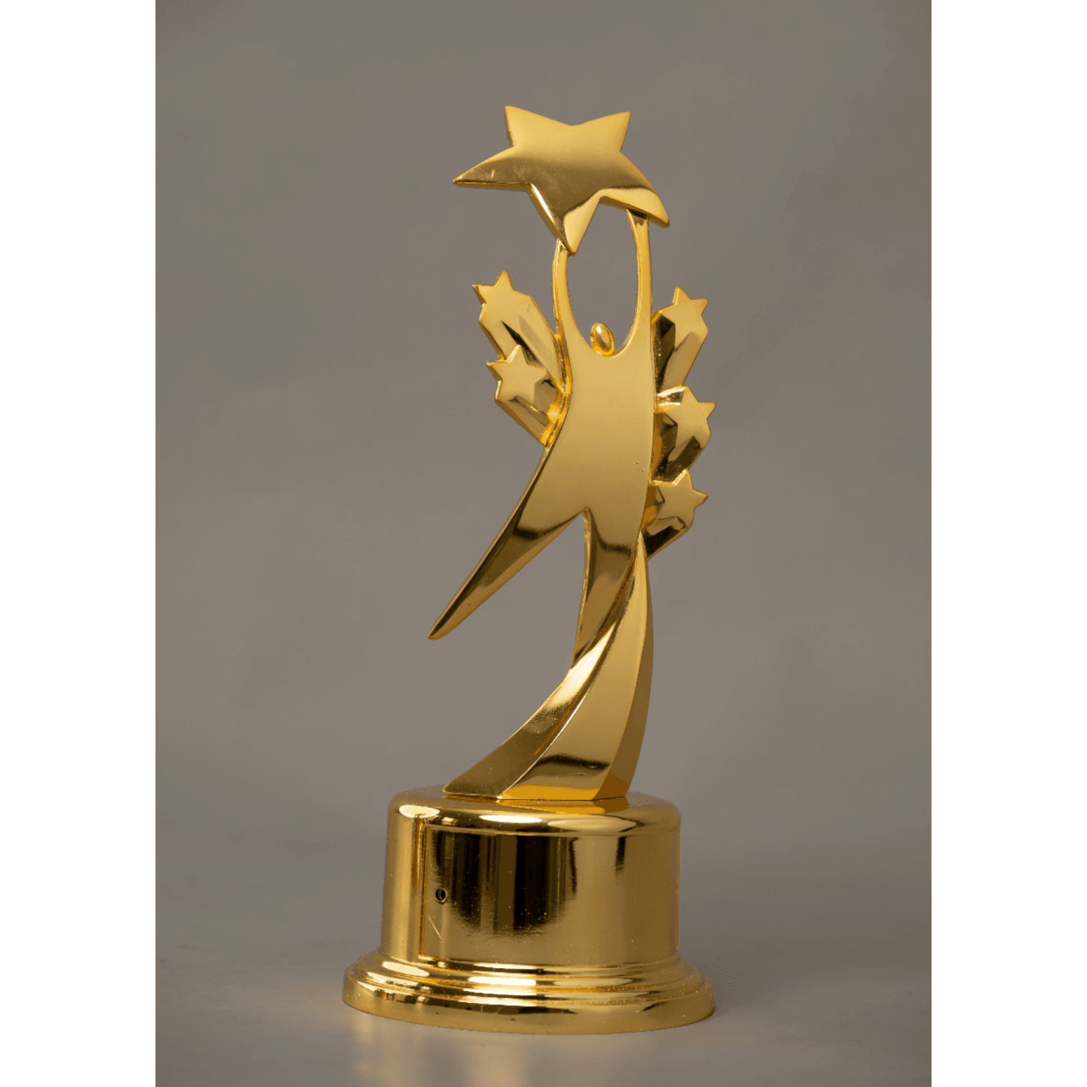 Aluminum Trophy Thumbnail 3