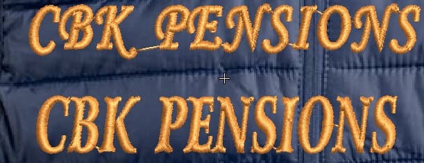 Sleeveless half puff jacket (branded embroidery) Thumbnail 2