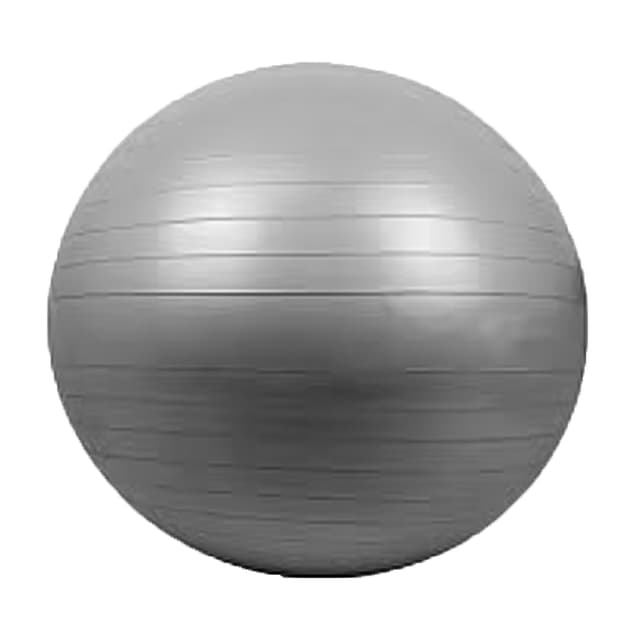 gym-ball-anti-burst-75cm-grey-light-green-blue-black-dark-green-red-purple-spl1201