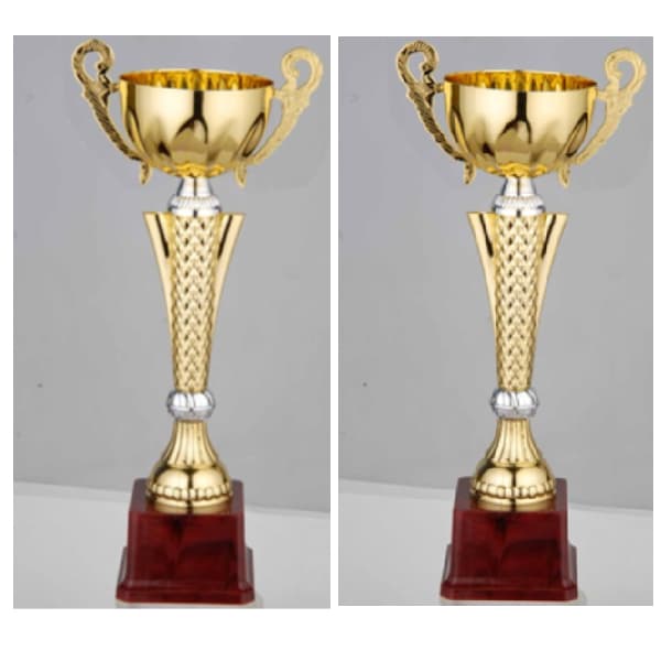 FB2054-A Budget Trophy A 38.5Cm