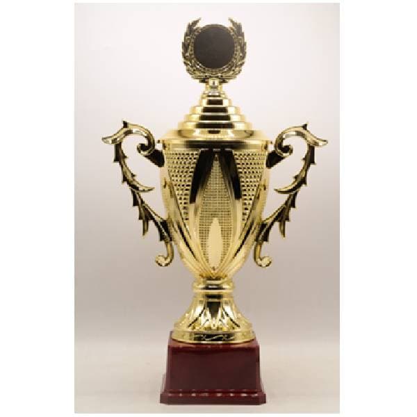 budget-trophy-f-24cm-f60mm-plastic