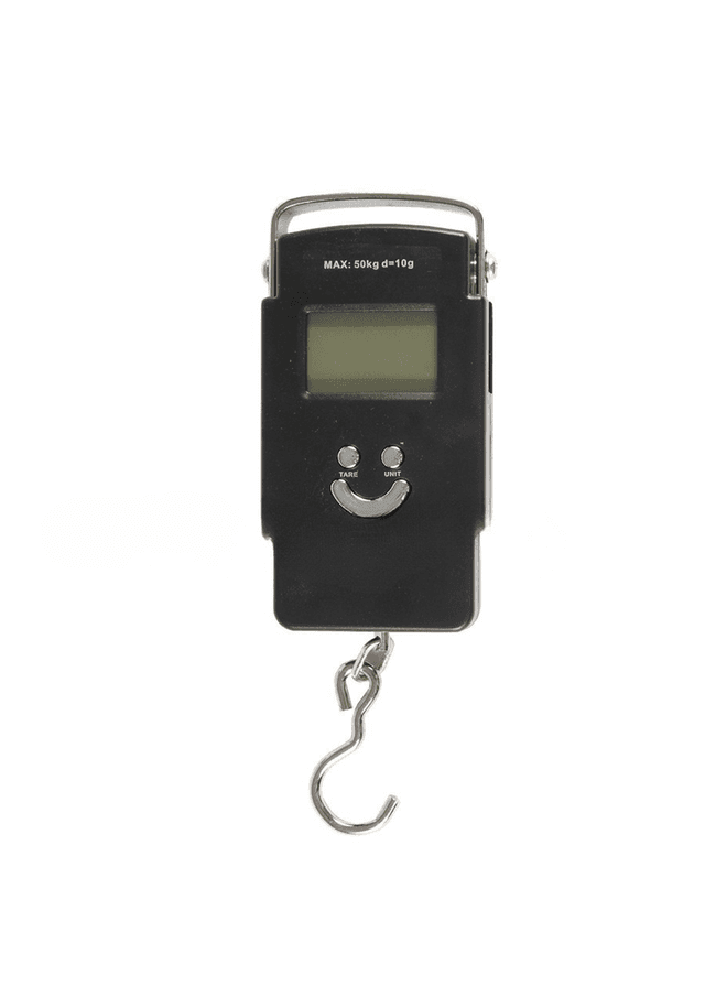 electronic-non-commercial-portable-scale-40kg