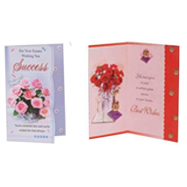 success-cards-pack-of-10