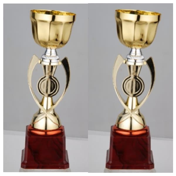 FB2018-A Budget Trophy A 32Cm